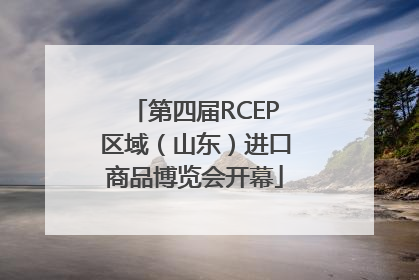 第四届RCEP区域（山东）进口商品博览会开幕