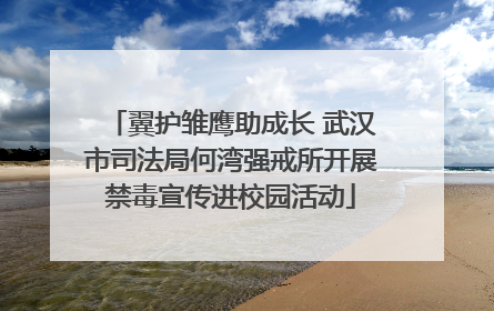 翼护雏鹰助成长 武汉市司法局何湾强戒所开展禁毒宣传进校园活动