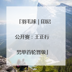 羽毛球｜印尼公开赛：王正行男单首轮晋级