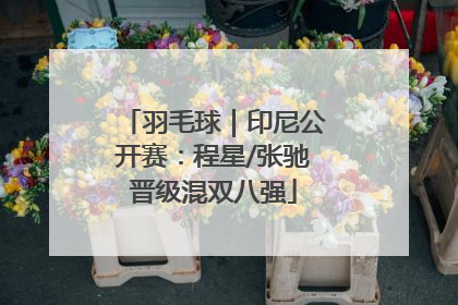 羽毛球｜印尼公开赛：程星/张驰晋级混双八强