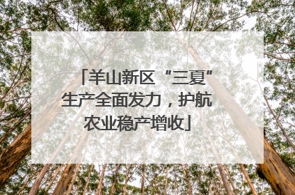 羊山新区“三夏”生产全面发力，护航农业稳产增收