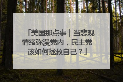 美国那点事｜当悲观情绪弥漫党内，民主党该如何拯救自己？