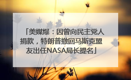 美媒爆：因曾向民主党人捐款，特朗普撤回马斯克盟友出任NASA局长提名