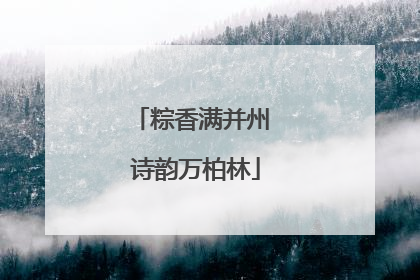 粽香满并州 诗韵万柏林