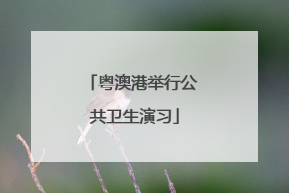 粤澳港举行公共卫生演习