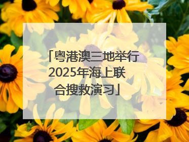 粤港澳三地举行2025年海上联合搜救演习