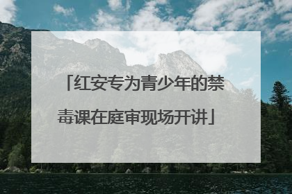 红安专为青少年的禁毒课在庭审现场开讲
