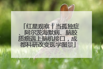 红星观察丨当孤独症、阿尔茨海默病、脑胶质瘤遇上脑机接口，成都科研改变医学图景