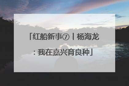 红船新事⑦丨杨海龙：我在嘉兴育良种