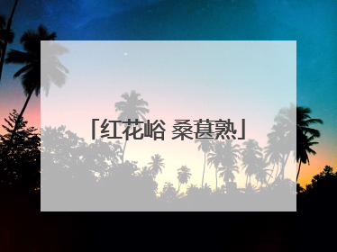 红花峪 桑葚熟