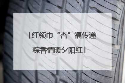 红领巾“杏”福传递 粽香情暖夕阳红