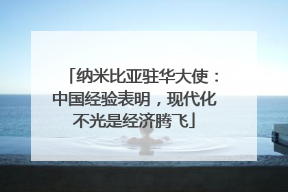 纳米比亚驻华大使：中国经验表明，现代化不光是经济腾飞