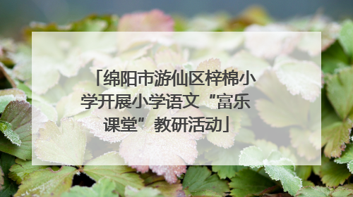 绵阳市游仙区梓棉小学开展小学语文“富乐课堂”教研活动