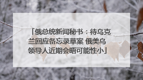 俄总统新闻秘书：待乌克兰回应备忘录草案 俄美乌领导人近期会晤可能性小