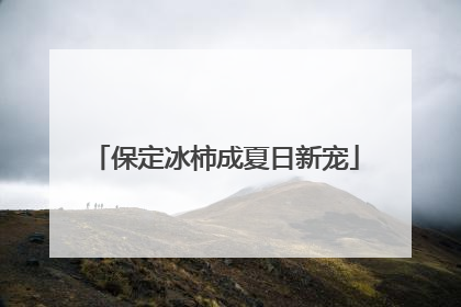 保定冰柿成夏日新宠