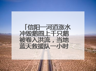 信阳一河道涨水冲毁鹅圈上千只鹅被卷入洪流，当地蓝天救援队一小时赶鹅上岸