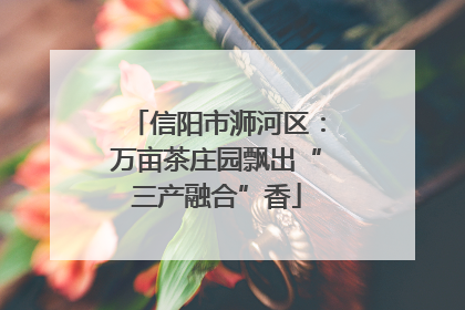 信阳市浉河区：万亩茶庄园飘出“三产融合”香