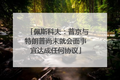 佩斯科夫：普京与特朗普尚未就会面事宜达成任何协议