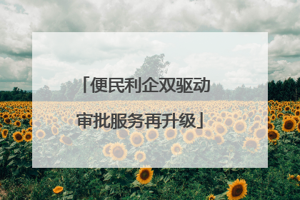便民利企双驱动 审批服务再升级