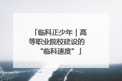临科正少年｜高等职业院校建设的“临科速度”
