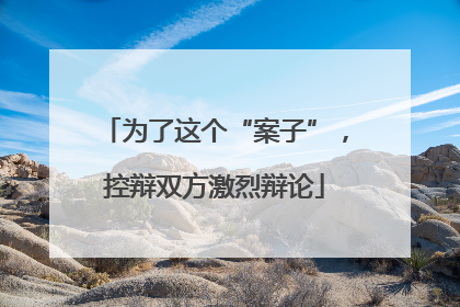 为了这个“案子”，控辩双方激烈辩论
