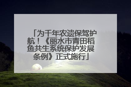 为千年农遗保驾护航！《丽水市青田稻鱼共生系统保护发展条例》正式施行