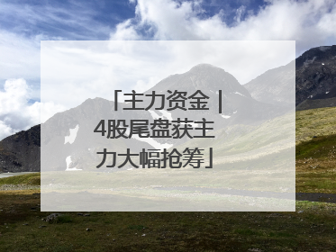 主力资金｜4股尾盘获主力大幅抢筹