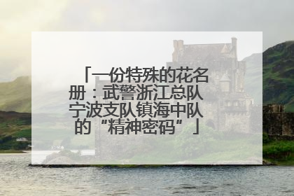 一份特殊的花名册：武警浙江总队宁波支队镇海中队的“精神密码”