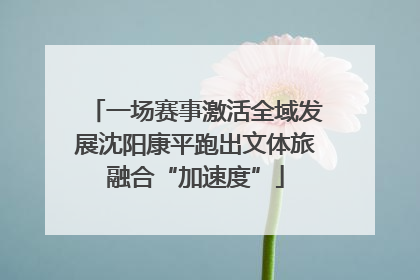 一场赛事激活全域发展沈阳康平跑出文体旅融合“加速度”