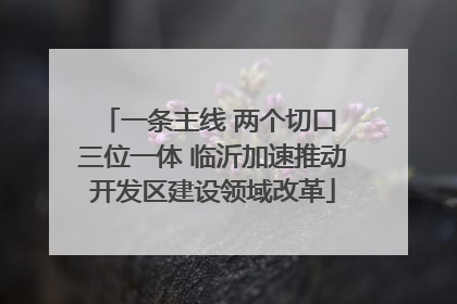 一条主线 两个切口 三位一体 临沂加速推动开发区建设领域改革