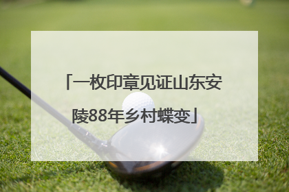 一枚印章见证山东安陵88年乡村蝶变