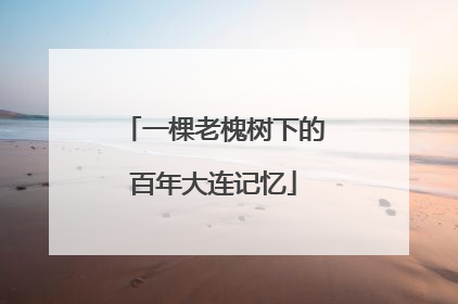 一棵老槐树下的百年大连记忆