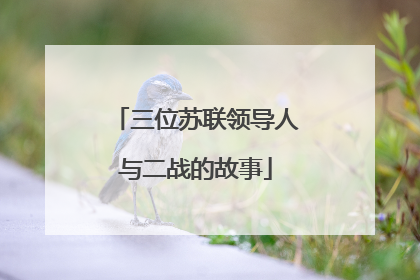 三位苏联领导人与二战的故事