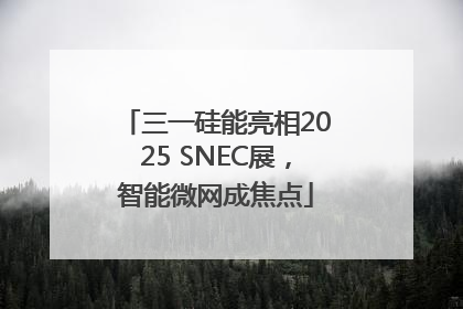 三一硅能亮相2025 SNEC展，智能微网成焦点