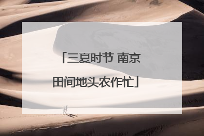 三夏时节 南京田间地头农作忙