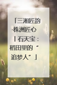 三湘匠韵·株洲匠心丨石天宝：稻田里的“追梦人”