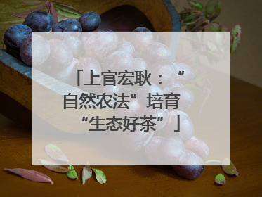 上官宏耿：“自然农法”培育“生态好茶”