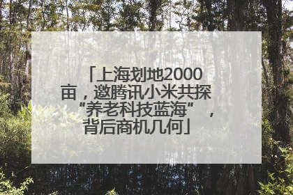上海划地2000亩，邀腾讯小米共探“养老科技蓝海”，背后商机几何