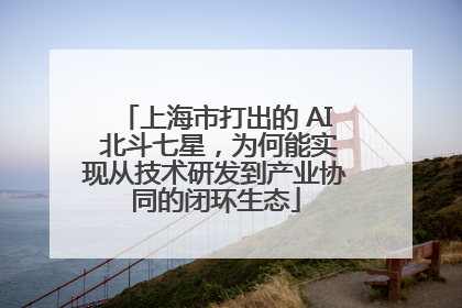 上海市打出的 AI 北斗七星，为何能实现从技术研发到产业协同的闭环生态