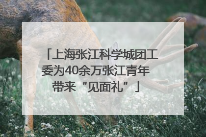 上海张江科学城团工委为40余万张江青年带来“见面礼”