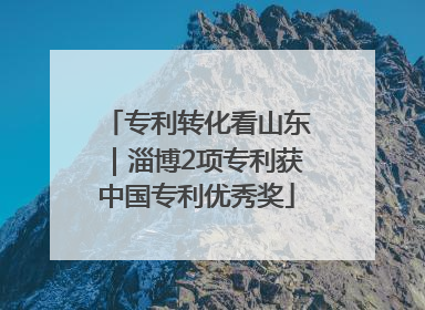 专利转化看山东｜淄博2项专利获中国专利优秀奖
