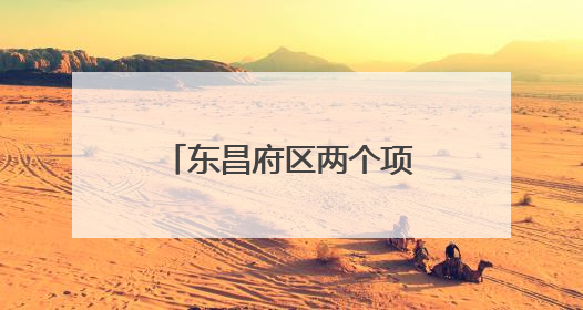 东昌府区两个项目获评“聊城市2024年度法治为民实事”项目