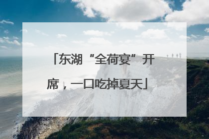 东湖“全荷宴”开席，一口吃掉夏天