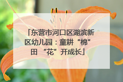 东营市河口区湖滨新区幼儿园：童耕“棉”田 “花”开成长