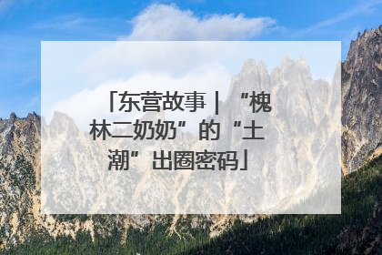 东营故事｜“槐林二奶奶”的“土潮”出圈密码
