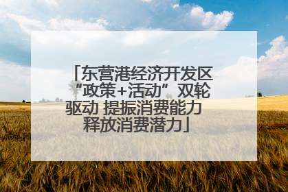 东营港经济开发区“政策+活动”双轮驱动 提振消费能力 释放消费潜力
