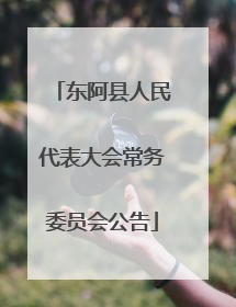 东阿县人民代表大会常务委员会公告
