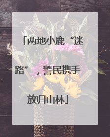 两地小鹿“迷路”，警民携手放归山林