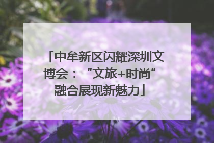 中牟新区闪耀深圳文博会：“文旅+时尚”融合展现新魅力