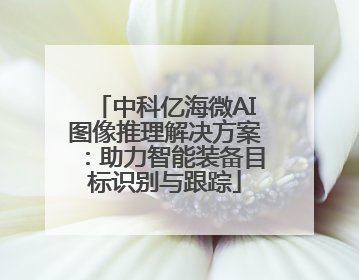 中科亿海微AI图像推理解决方案：助力智能装备目标识别与跟踪